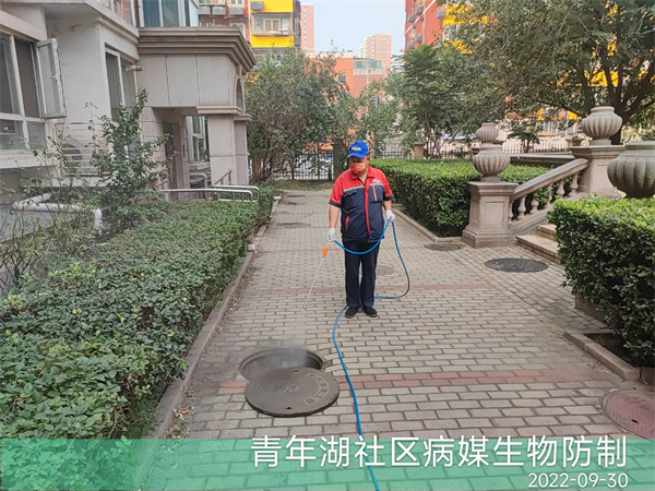 东城给食品加工行业灭蟑螂的公司400-030-9251维诺康北京除四害